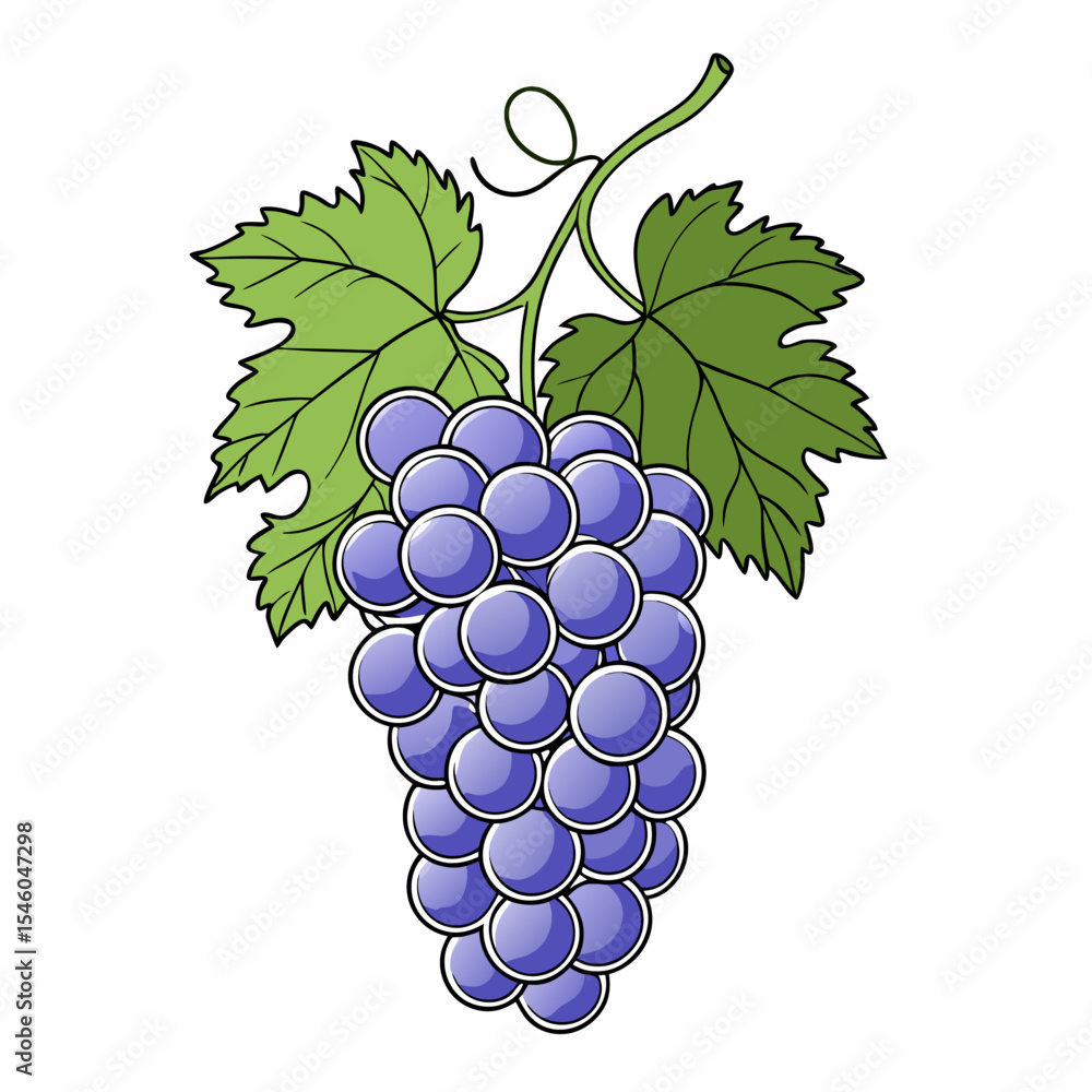 Poster simple line drawing of a grape bunch with stem