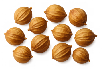 Dried coriander seeds lying scattered, revealing intricate surface details and rich brown hues against translucent backdrop