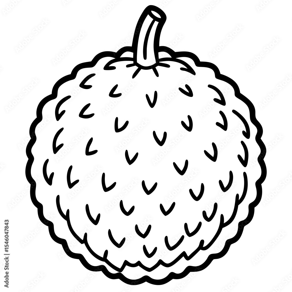 Poster lychee fruit outline with rough texture pattern