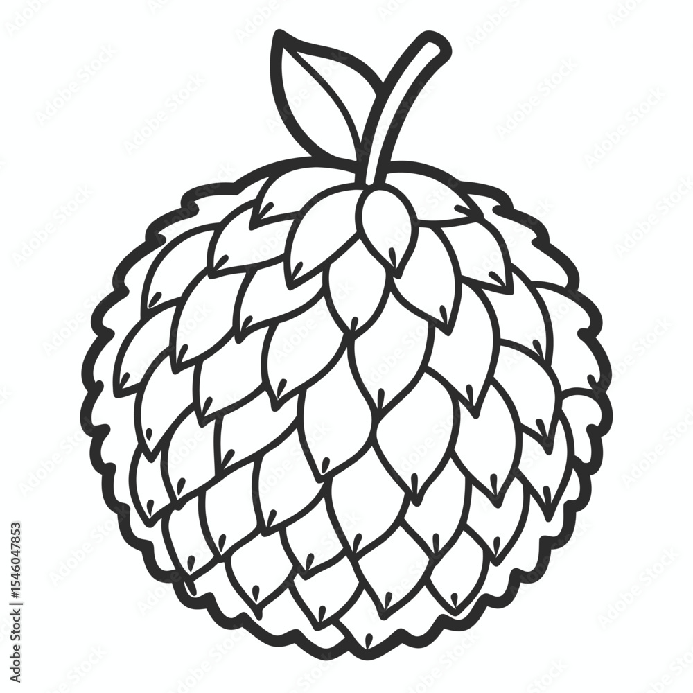Poster lychee fruit outline with rough texture pattern