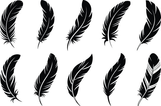 Elegant black feather silhouettes arranged on a white background for artistic design elements