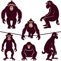 A playful set of stylized chimpanzee illustrations in expressive poses, showcasing curiosity, agility, and personality