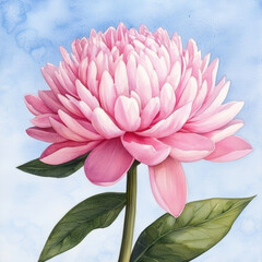 beautiful pink flower with large petals stands against soft blue background, showcasing its delicate details and vibrant