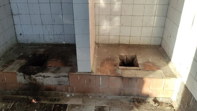 Dirty public rural toilet and flies flying around