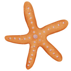 Ocean Animal Vector Watercolor with starfish,Shell and Coral under the Water Life,Illustration 