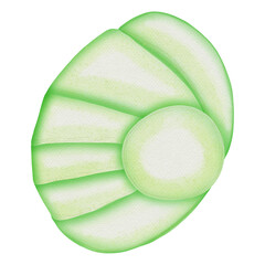 Ocean Animal Vector Watercolor with starfish,Shell and Coral under the Water Life,Illustration 