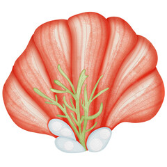 Ocean Animal Vector Watercolor with starfish,Shell and Coral under the Water Life,Illustration 