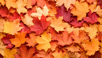 Breathtaking Nature Landscape Featuring Mountains, Forests, Oceans, and Sky in All Seasons