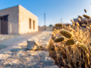 Countryside of Gavdos island, Crete, Greece.