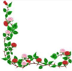 Vector illustration of a flower arrangement, including individual, stems, and leaves.
