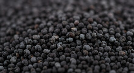 Macro Photography of Black Poppy Seeds