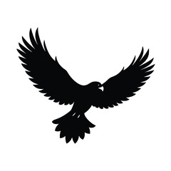 Flying eagle silhouette for wildlife nature freedom and strength themed visual content