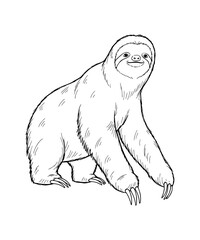 Giant Ground Sloth Line Art