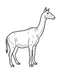Macrauchenia Line Art