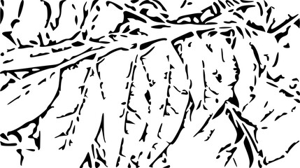 black and white background