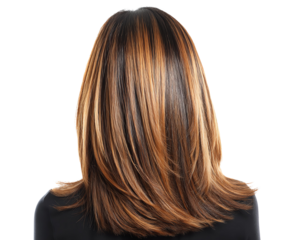 Straight layered black hair with peach blonde highlights glossy finish, peach blonde highlights black hair isolated, peach blonde highlights fine straight hair on white. PNG die-cut