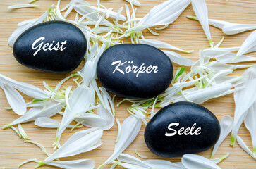 Mind, body, spirit stones with orange flower in background