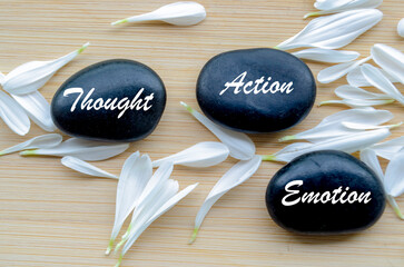 Stones arranged with thought, action, emotion text and copy space