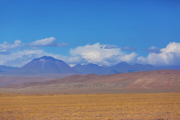 Northern Chile