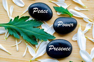 Stone arrangement with word peace on green leaf and white floral accents