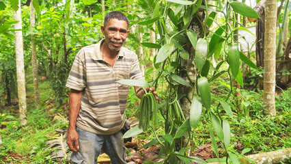 Vanilla farmer smiling looking at camera in farm or plantation, green beans or pods on plant or tree