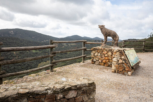 Monument to the Iberian wolf - viewpoint of Sierra Padrona and Puerto Quejigo, Sierra Norte natural park, province of Seville, Andalusia, Spain