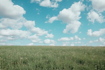 Vibrant Image of Beautiful Field Springtime Sky with Clouds Horizon Landscape
