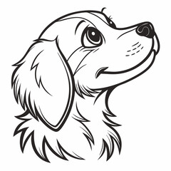 Fototapeta premium Fluffy Puppy Face for Branding