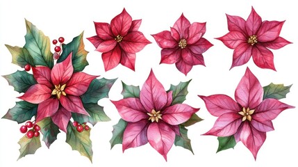 Watercolor Poinsettia and Holly Floral Set for Christmas