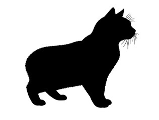 Obraz premium Bengal Cat in silhollouette vector image.