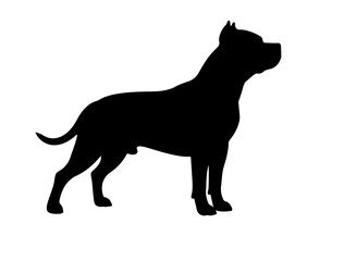 Full black vector image of Akita in silhollouette.