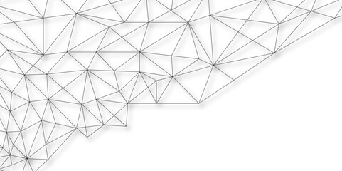 Abstract elegant background gray line texture. Polygonal Mesh Background Vector design digital technology concept Global network connection data structure. data concept, wallpaper. vector illustration © Azadur
