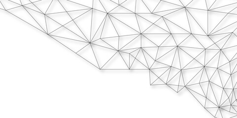 Abstract elegant background gray line texture. Polygonal Mesh Background Vector design digital technology concept Global network connection data structure. data concept, wallpaper. vector illustration © Azadur