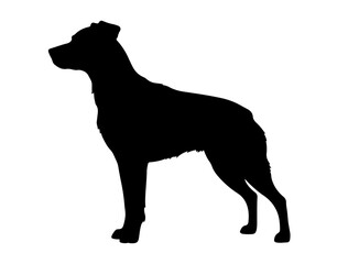 Brittany in silhollouette vector image.