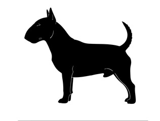  Bull terrier in silhollouette vector image.