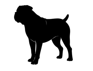 Vector image of bulldog in silhollouette vector image.