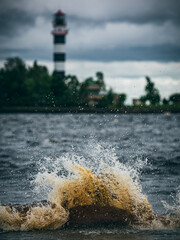 lighthouse on the shore