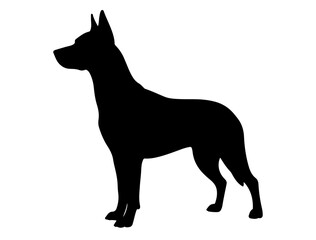 Bull mastiff in silhollouette vector image.