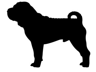 Chinese shar-pei  in silhollouette vector image.ai