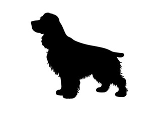 Doberman pinscher in silhollouette vector imag.