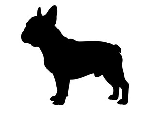 Golden retriever in silhollouette vector image.