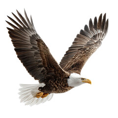 Majestic Bald Eagle in Flight with Outstretched Wings Against a Clear Sky Background