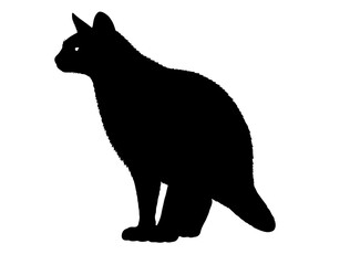 Hoatzin  in silhollouette vector image white baclground.