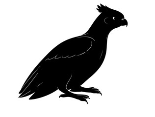 Greater coucalin silhollouette vector image.