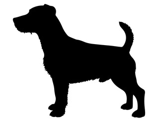 Jack Russell terrier  in silhollouette vector image.