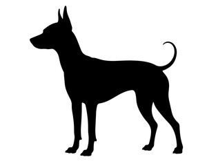 Mastiff in silhollouette vector image.