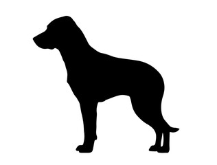 Brittany in silhollouette vector image.