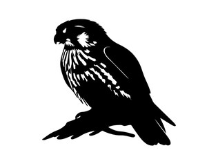 Vector image of Weaverbird in silhollouette image white baclground.
