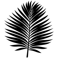 Tropical palm leaf silhouette in bold black vector style, featuring rounded symmetrical fronds—ideal for summer, botanical decor, eco branding, or minimalist nature design.

