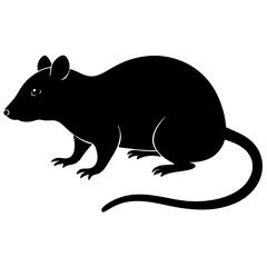 Obraz premium Silhouette vector of a sitting rat in black outline style, showing long curved tail, ideal for biology graphics, urban animal icons, or Halloween-themed illustrations.